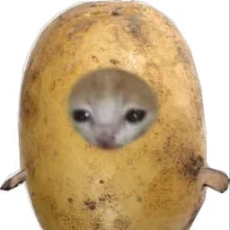 the_potato_cat