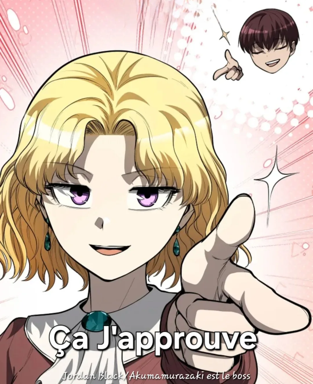 Image du commentaire