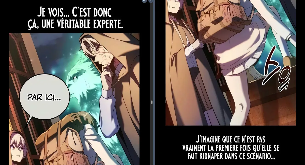 Image du commentaire