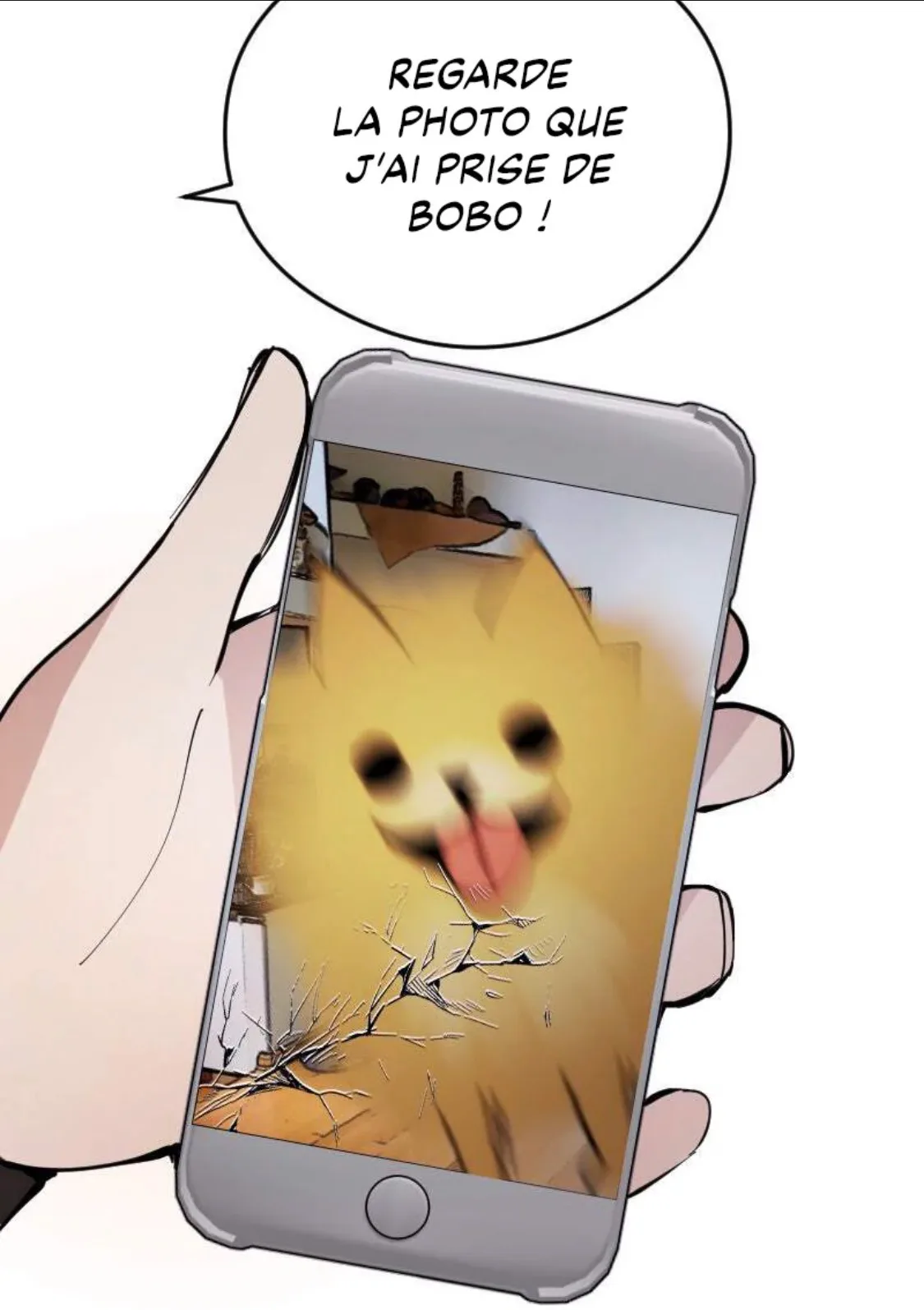 Image du commentaire