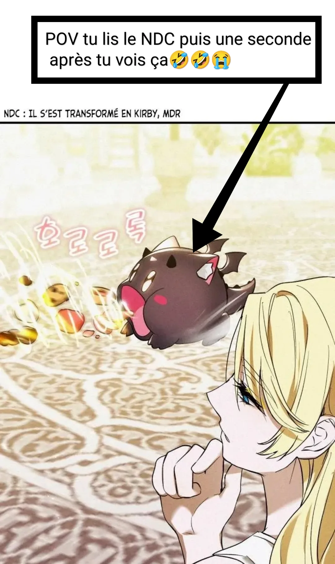 Image du commentaire