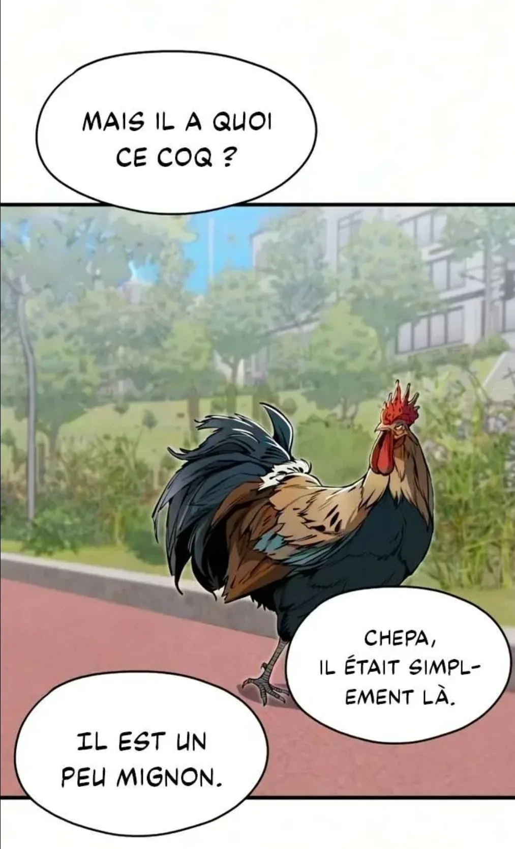 Image du commentaire