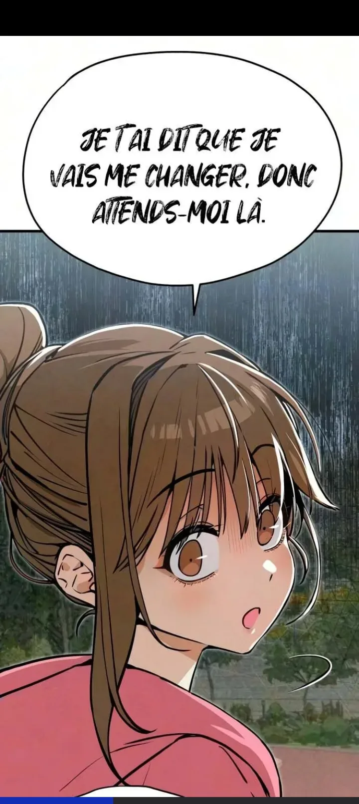 Image du commentaire