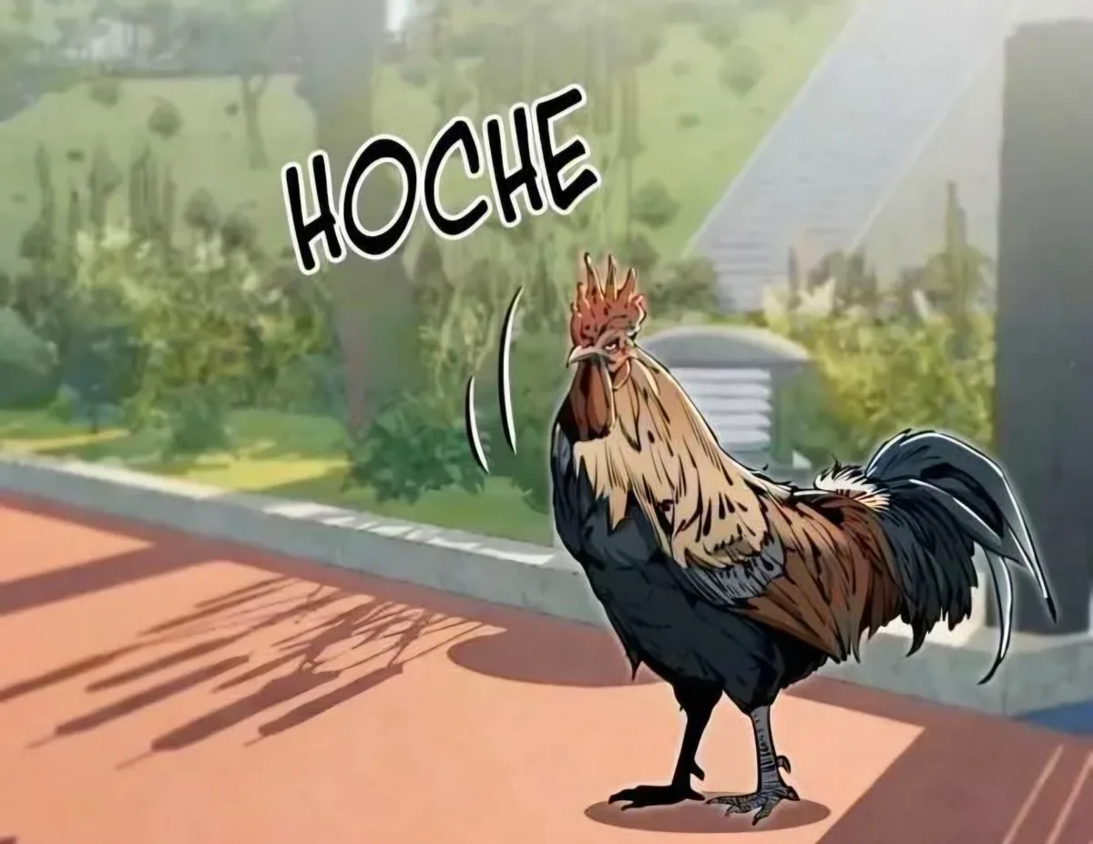 Image du commentaire