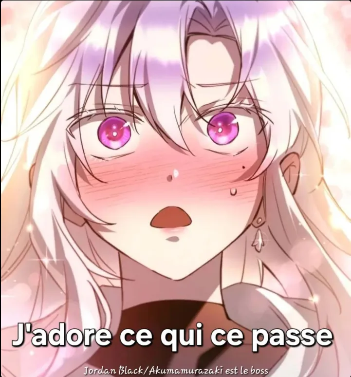 Image du commentaire