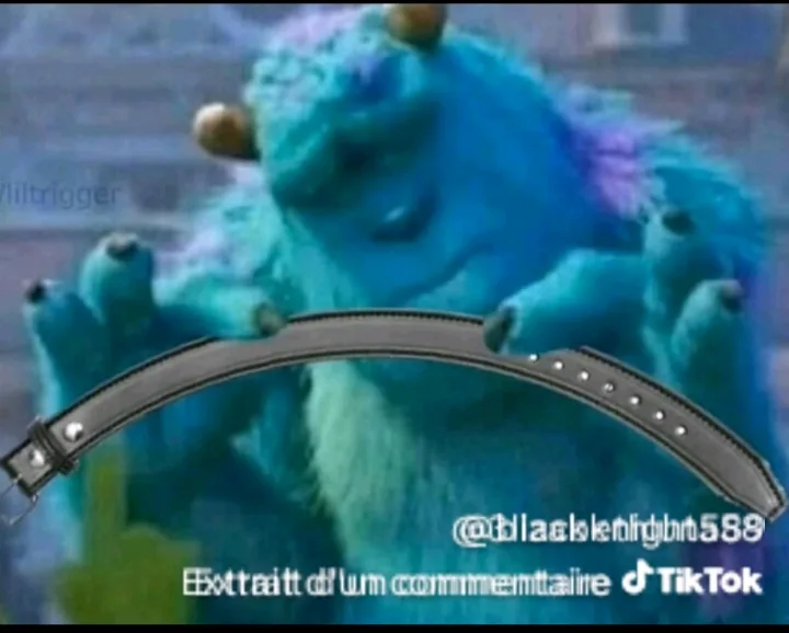 Image du commentaire