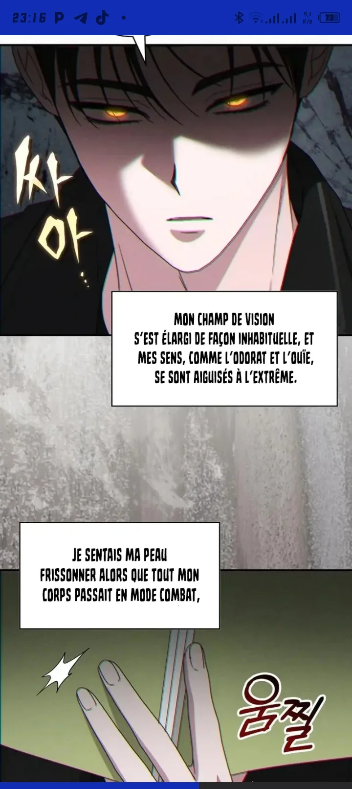 Image du commentaire