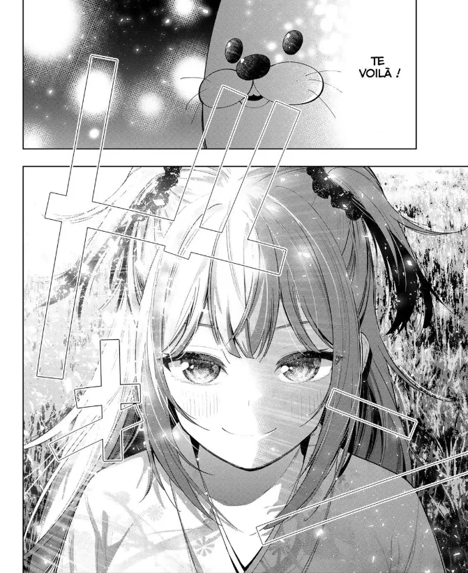 Image du commentaire