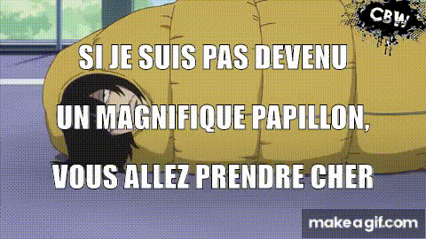 Image du commentaire