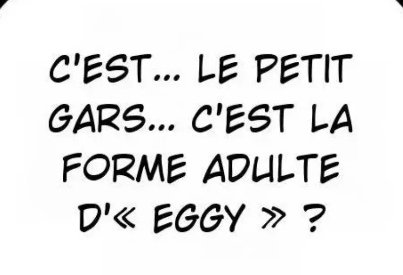 Image du commentaire