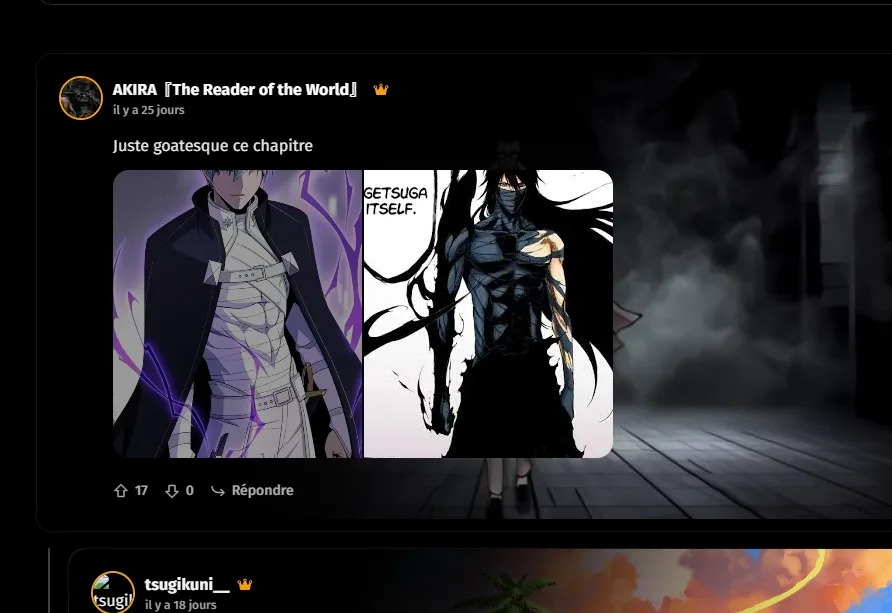 Image du commentaire