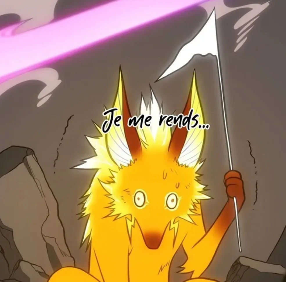Image du commentaire