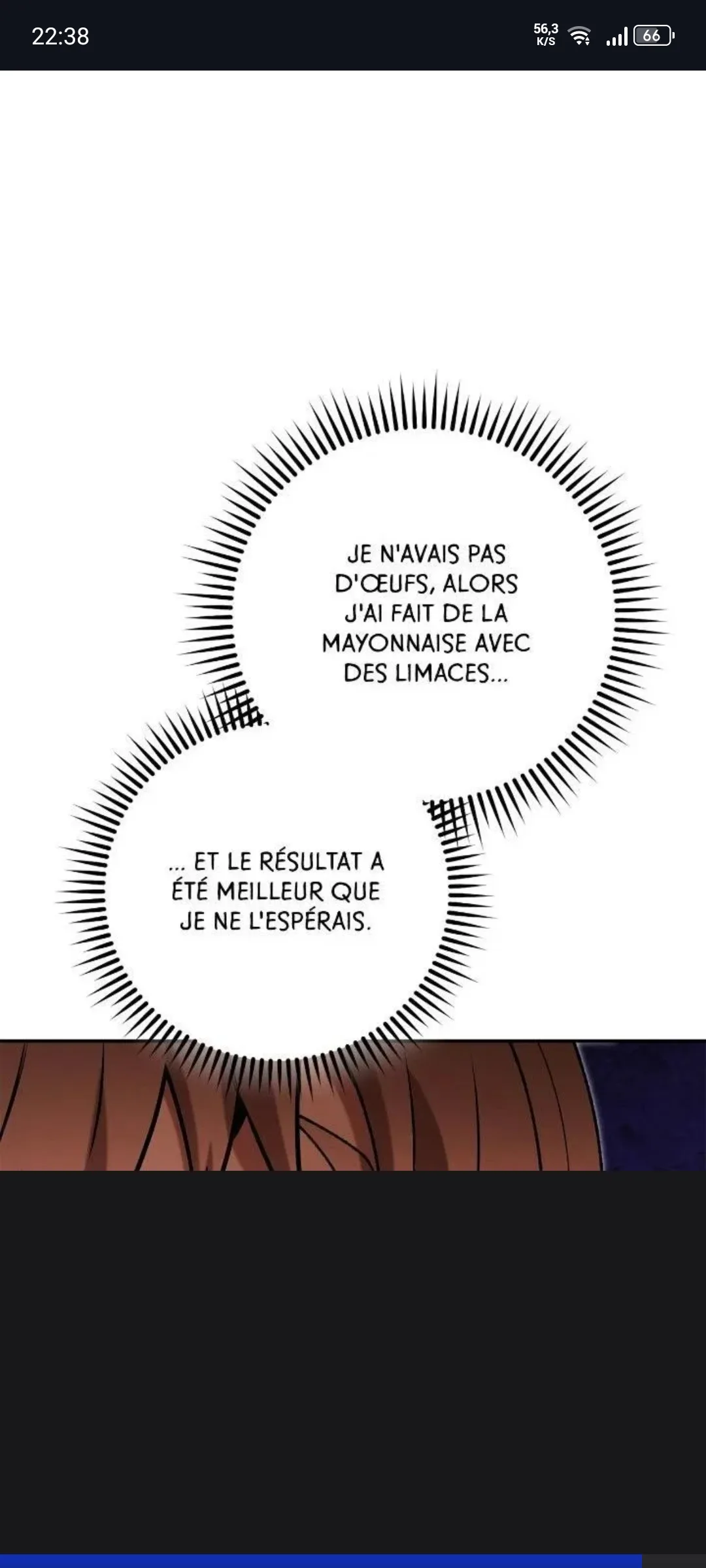 Image du commentaire