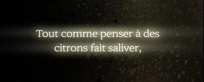 Image du commentaire