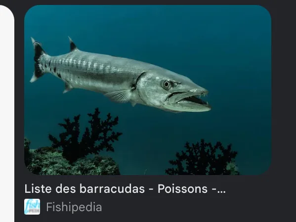 Image du commentaire