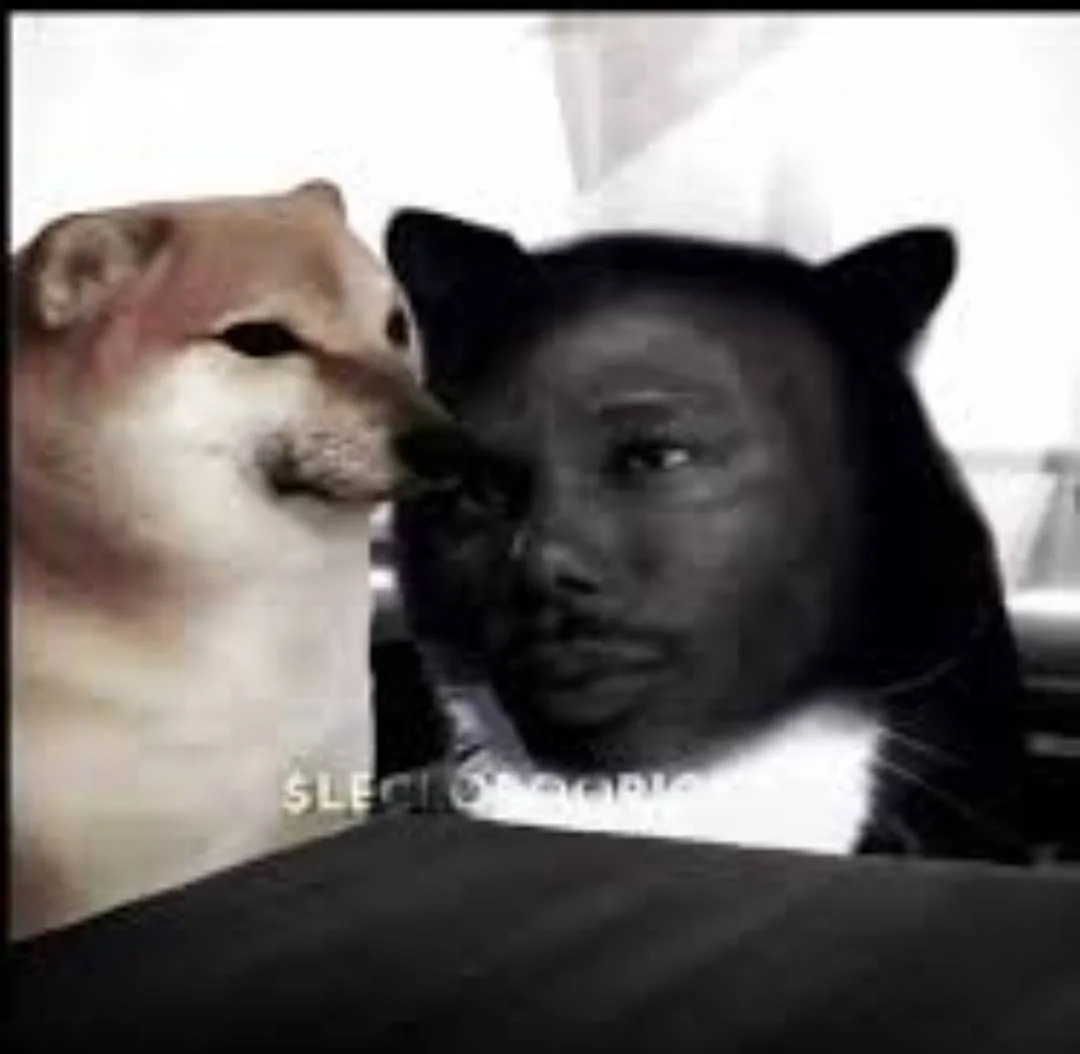 Image du commentaire