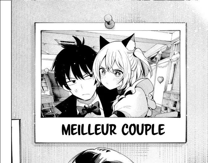 Image du commentaire