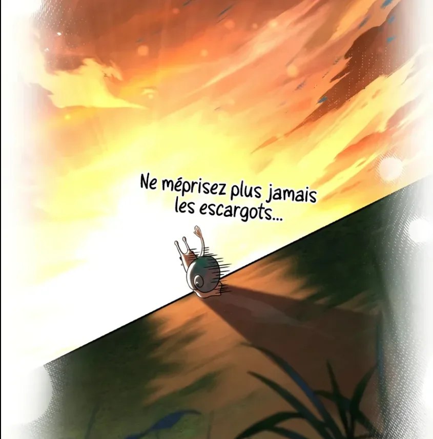 Image du commentaire