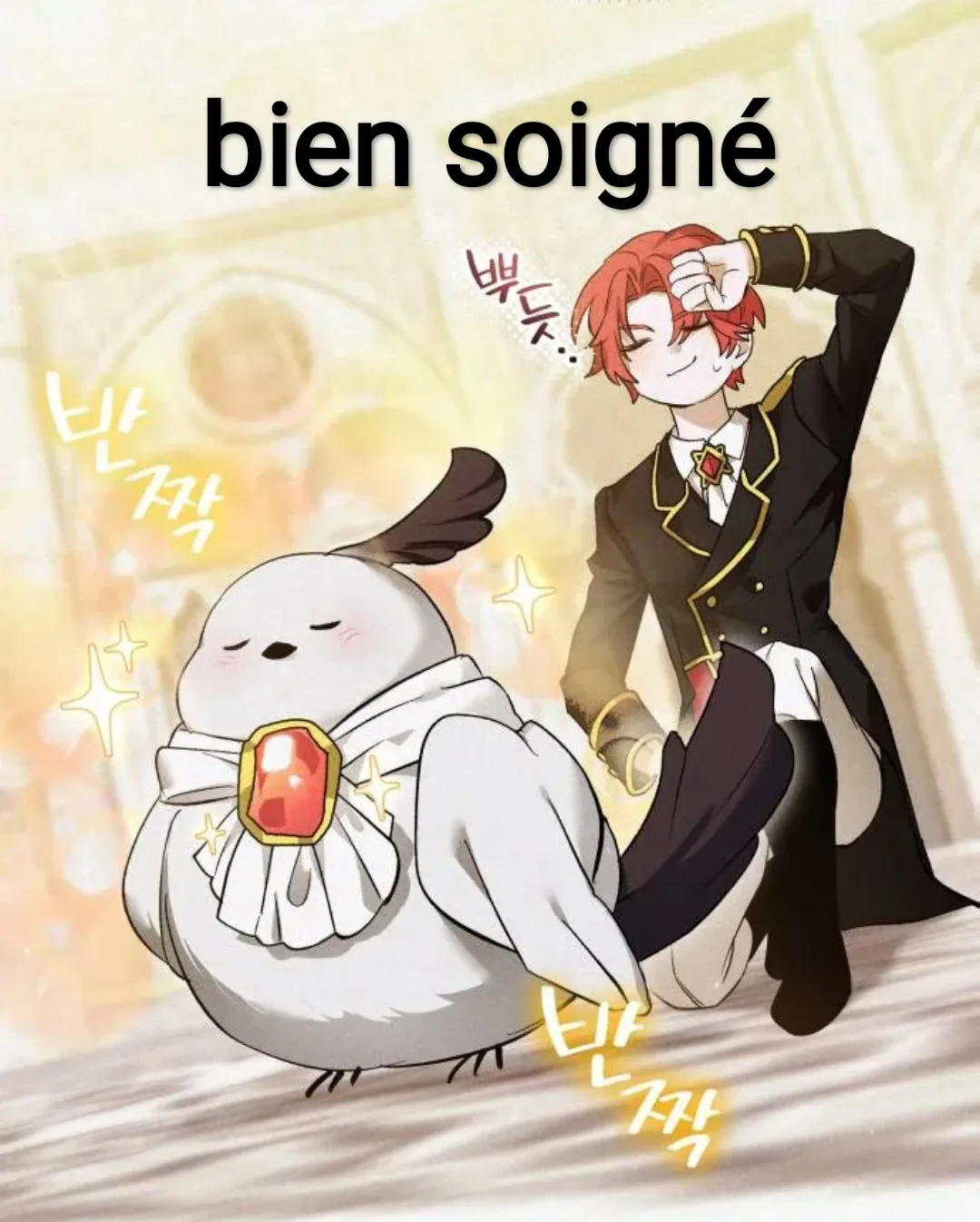 Image du commentaire