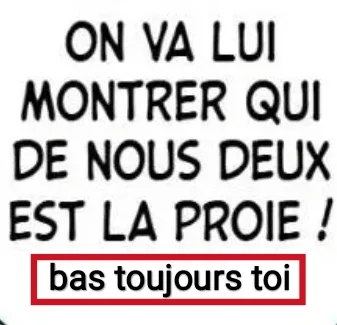 Image du commentaire