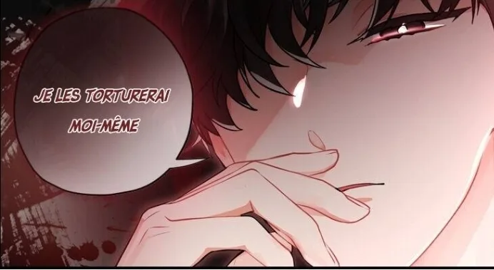 Image du commentaire