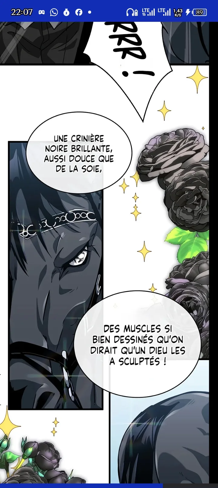 Image du commentaire