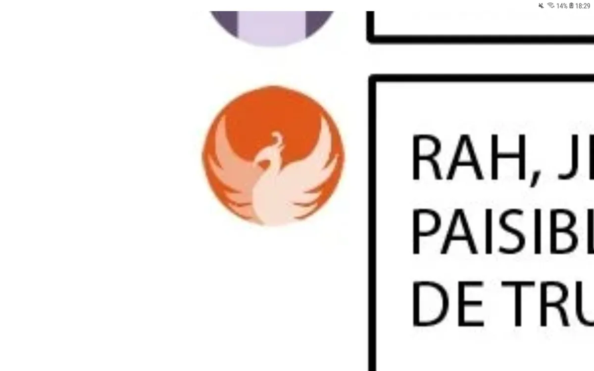Image du commentaire
