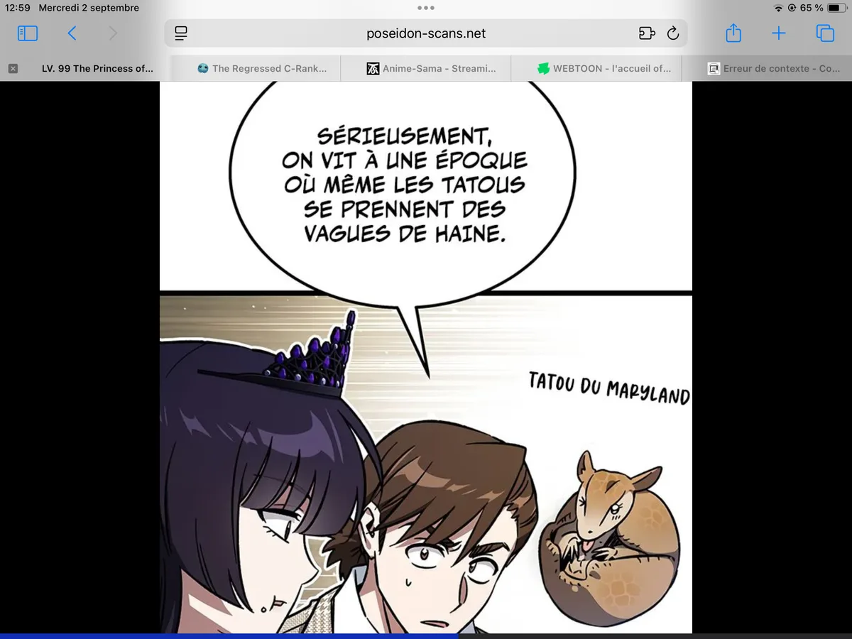 Image du commentaire