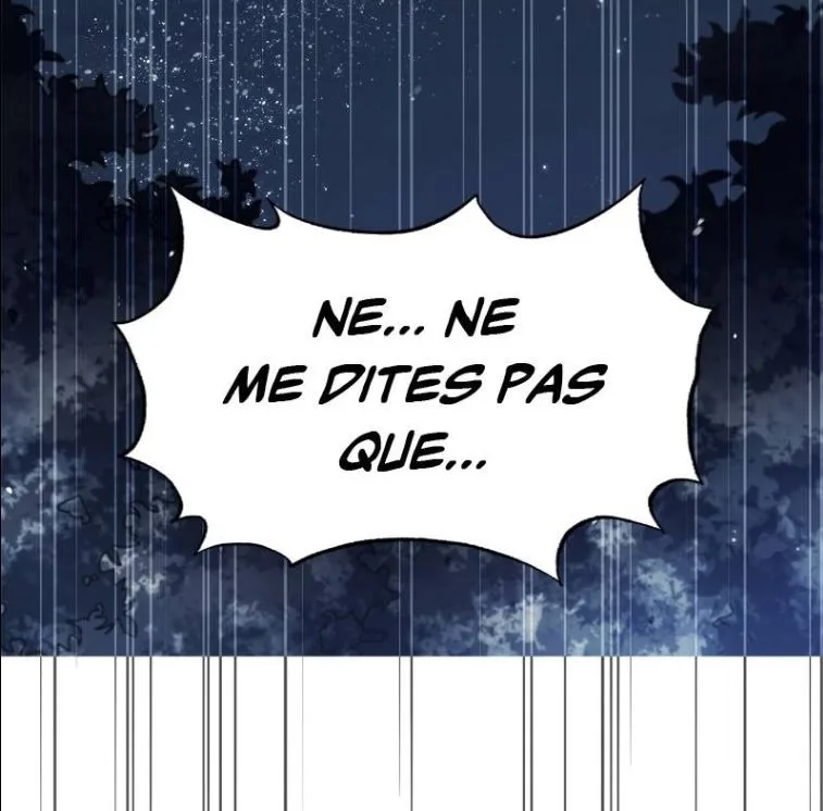 Image du commentaire