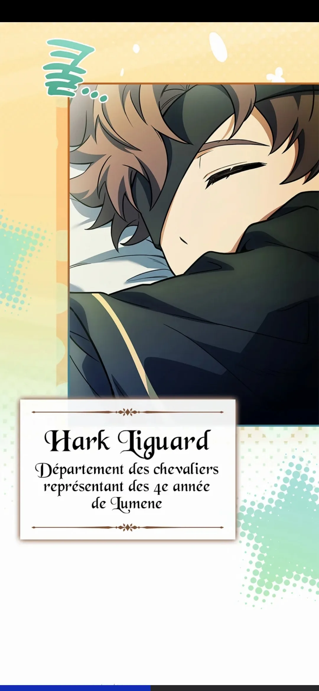 Image du commentaire