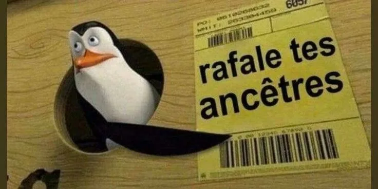 Image du commentaire