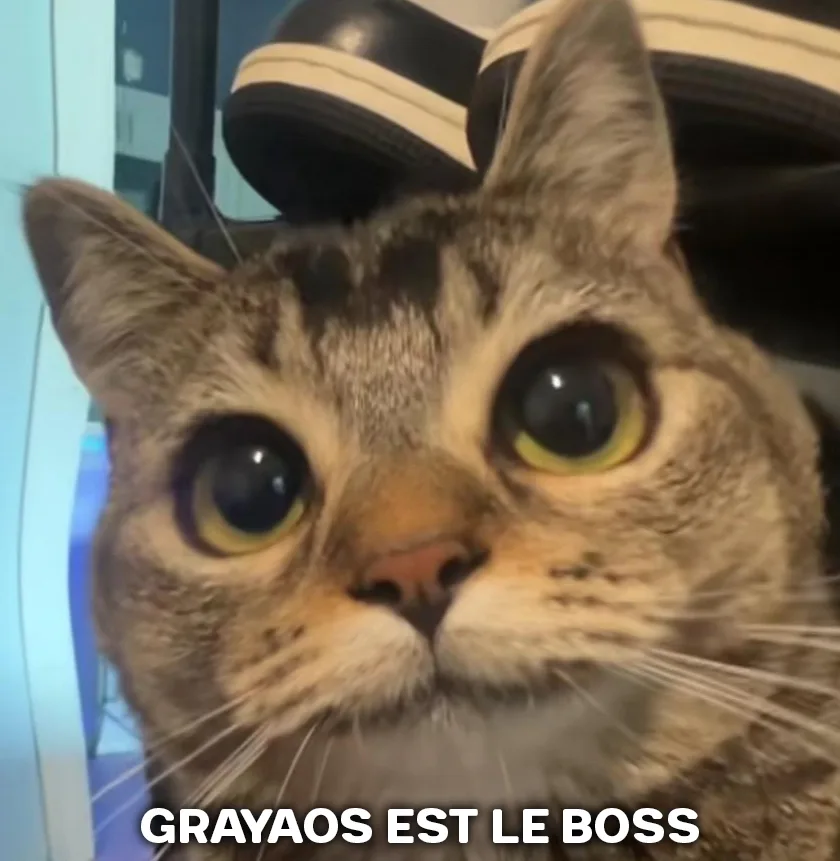 Image du commentaire