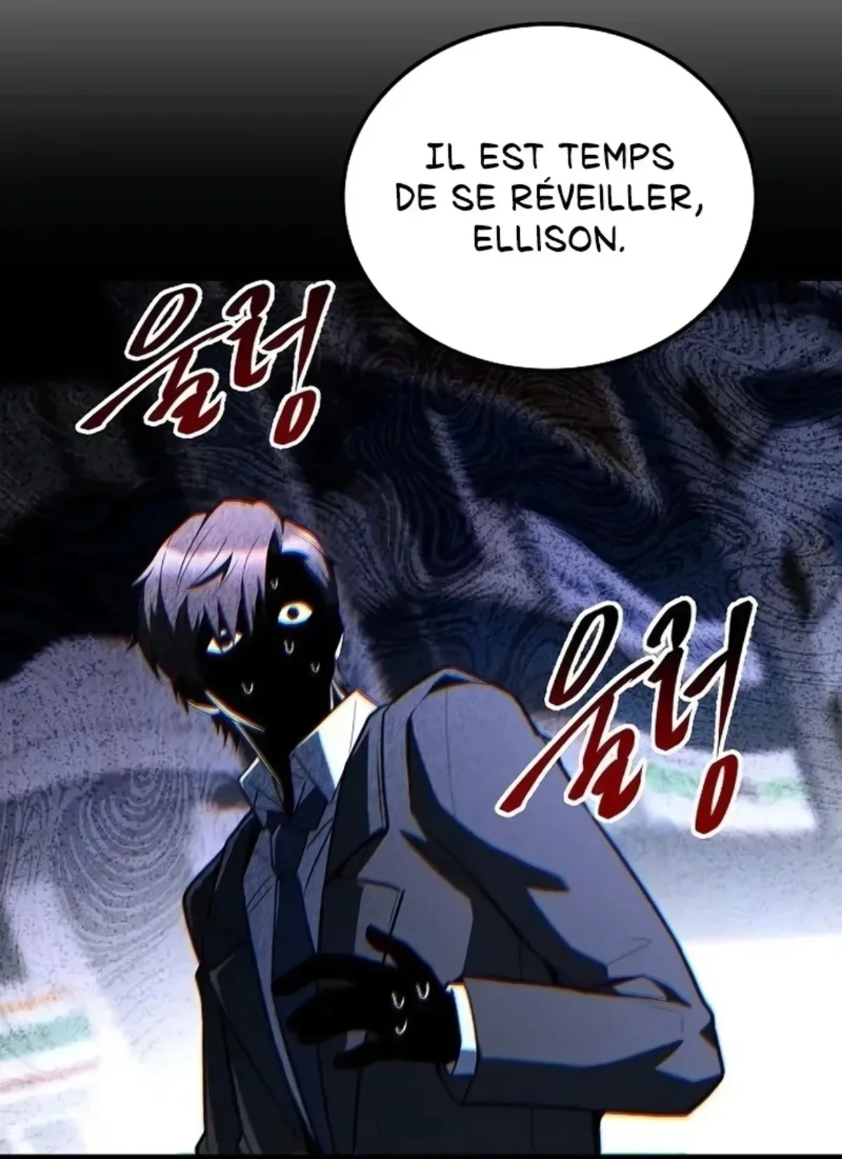 Image du commentaire