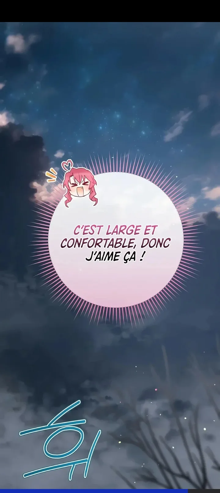 Image du commentaire