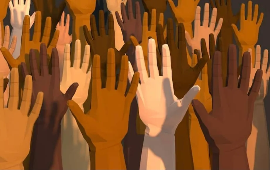 Image du commentaire