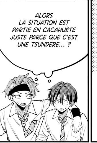 Image du commentaire