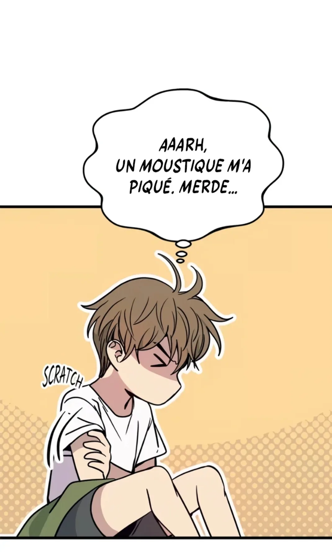 Image du commentaire