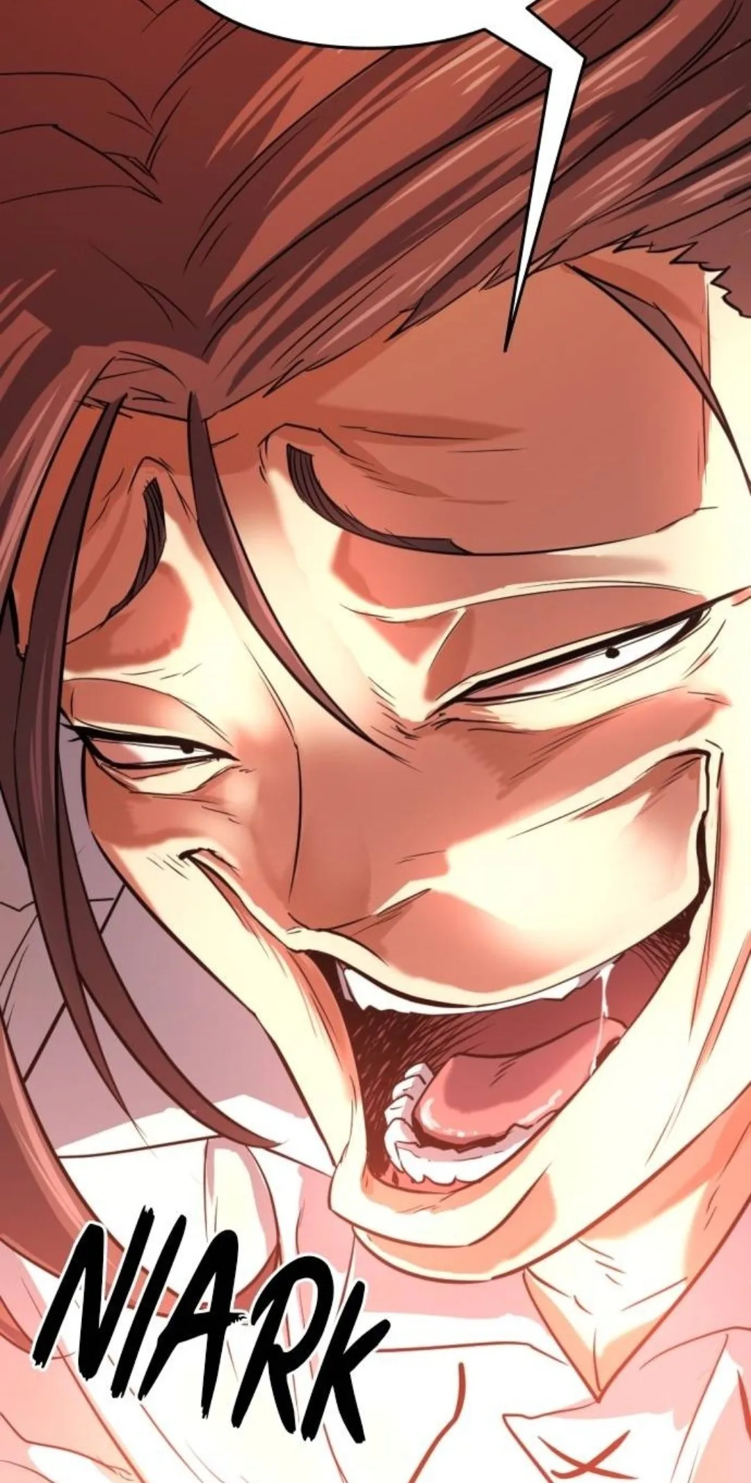 Image du commentaire