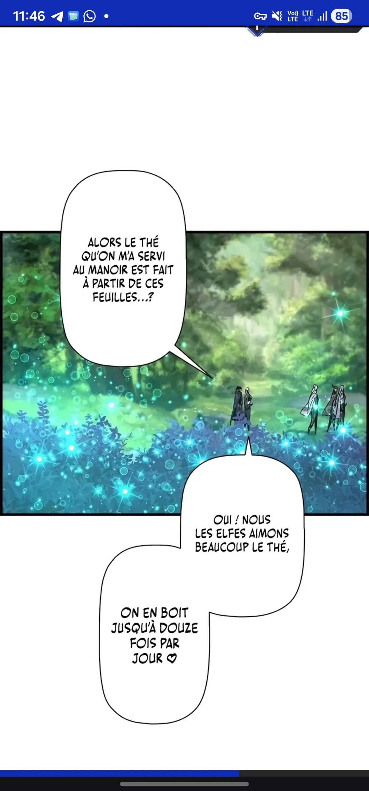 Image du commentaire