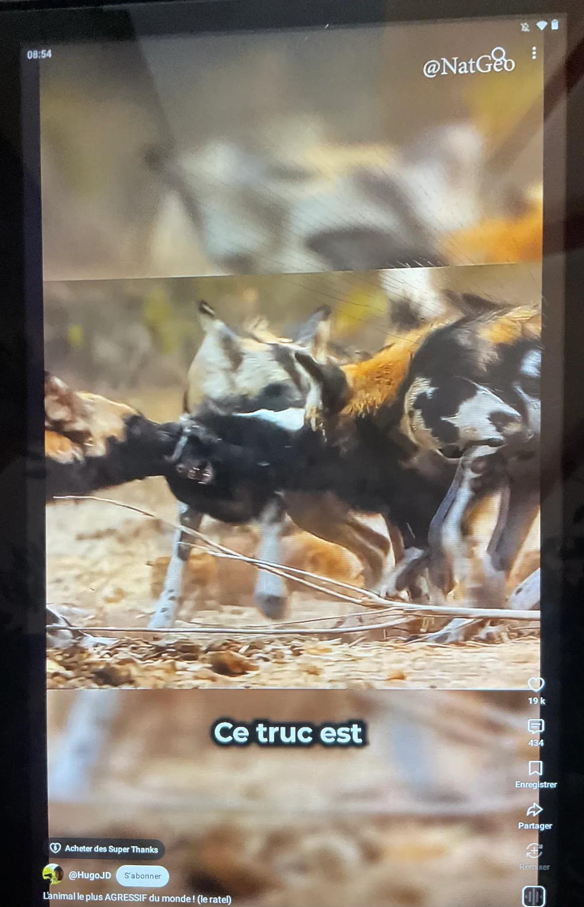Image du commentaire