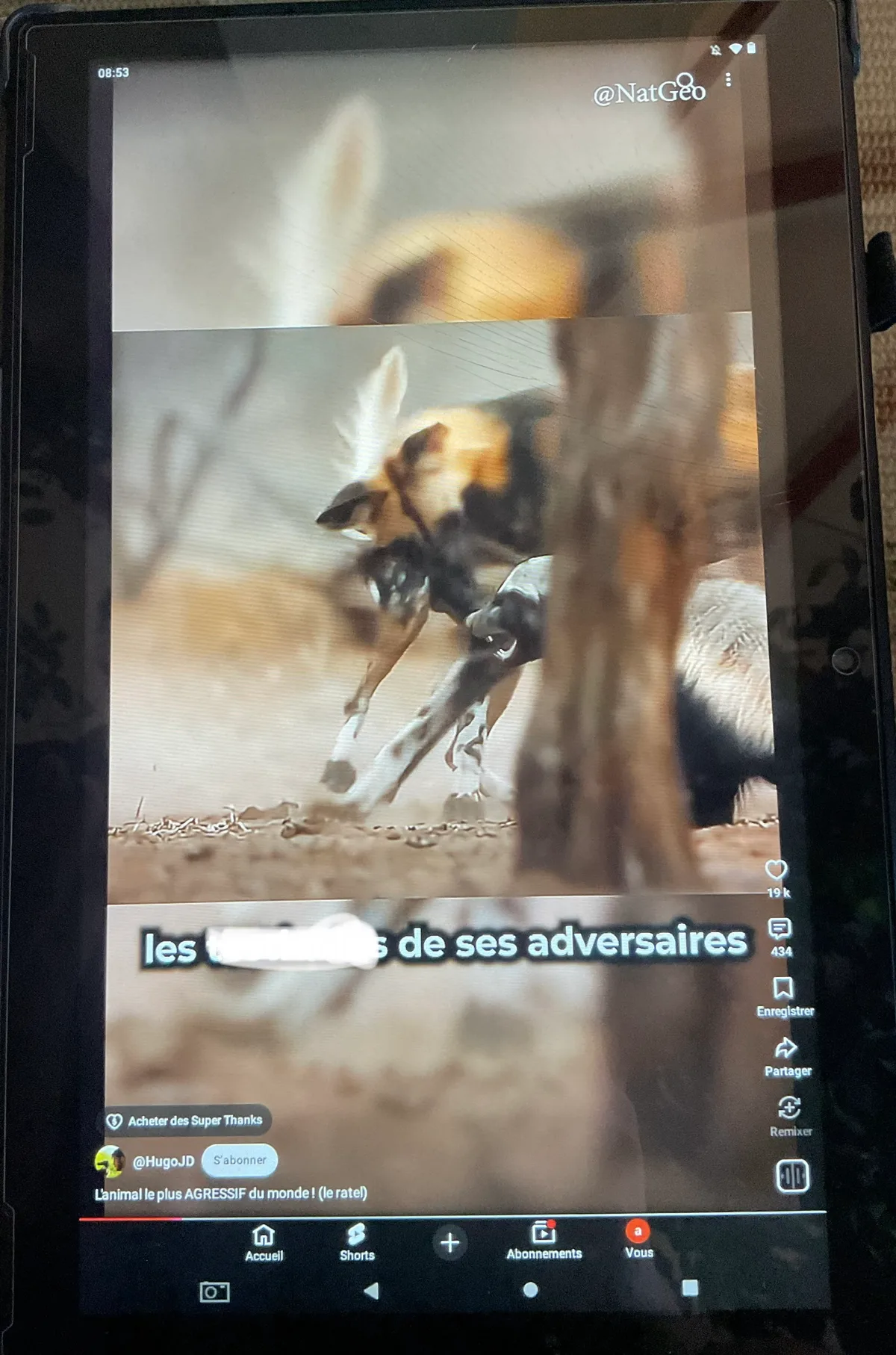 Image du commentaire