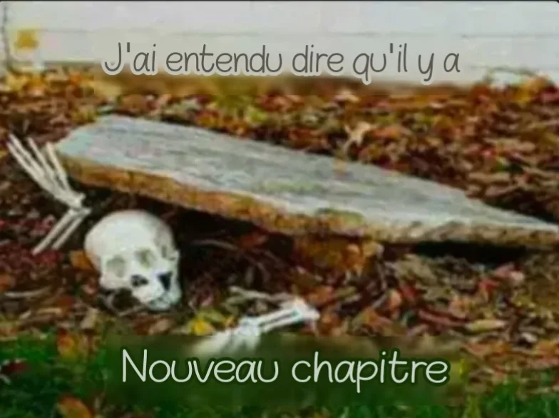 Image du commentaire