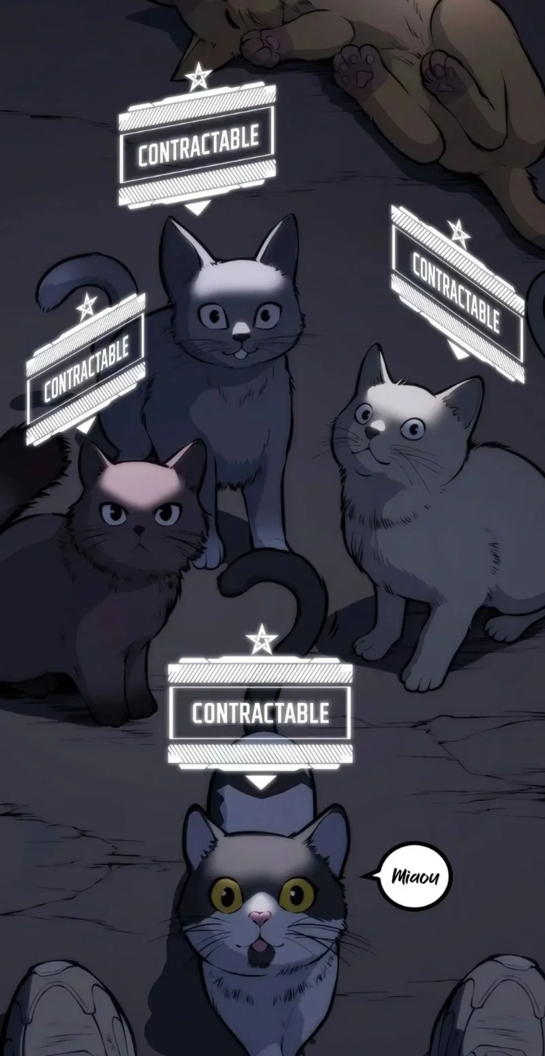 Image du commentaire