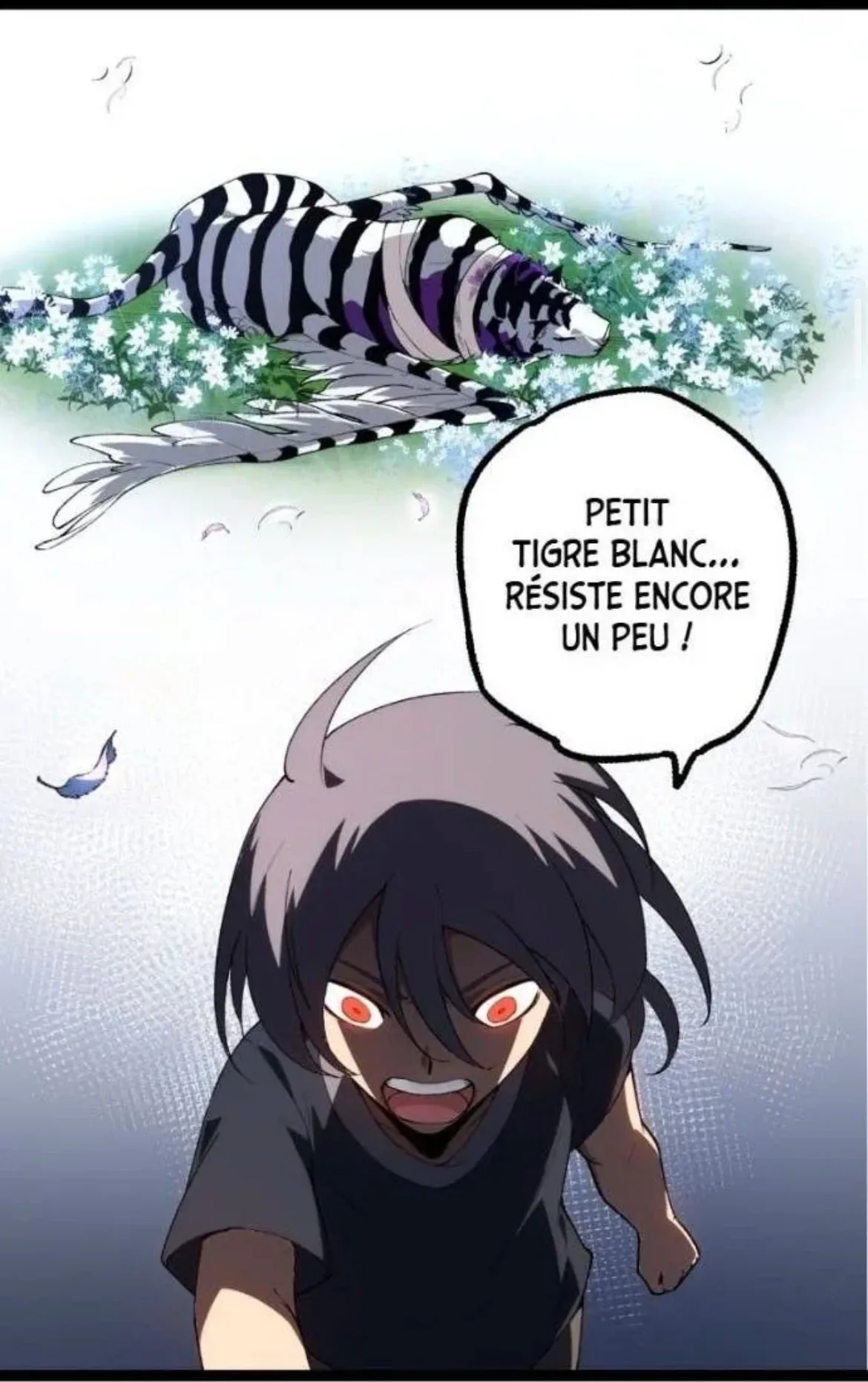 Image du commentaire