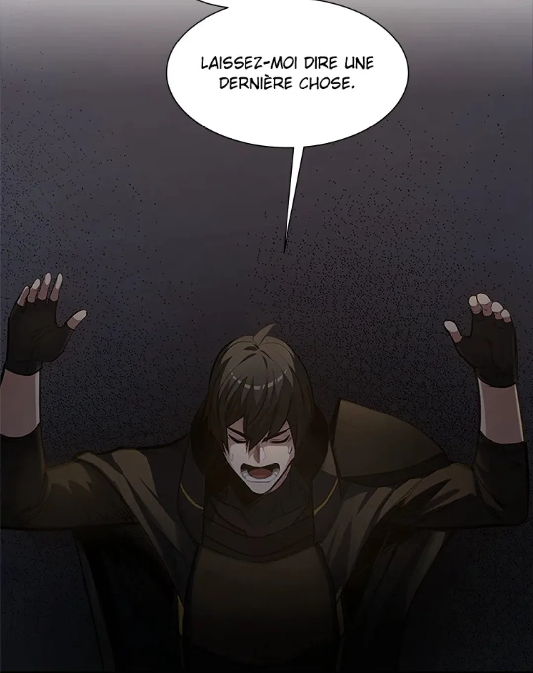 Image du commentaire