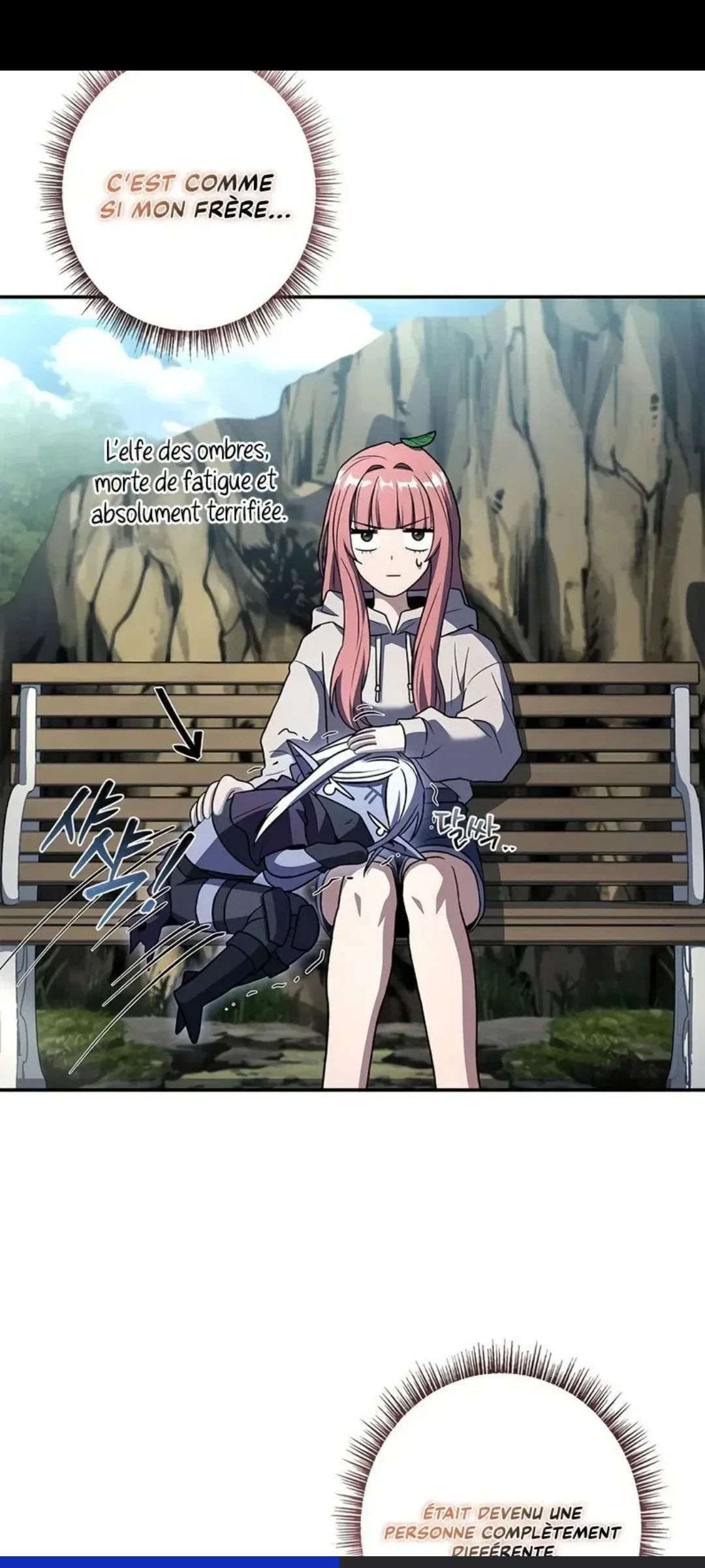 Image du commentaire