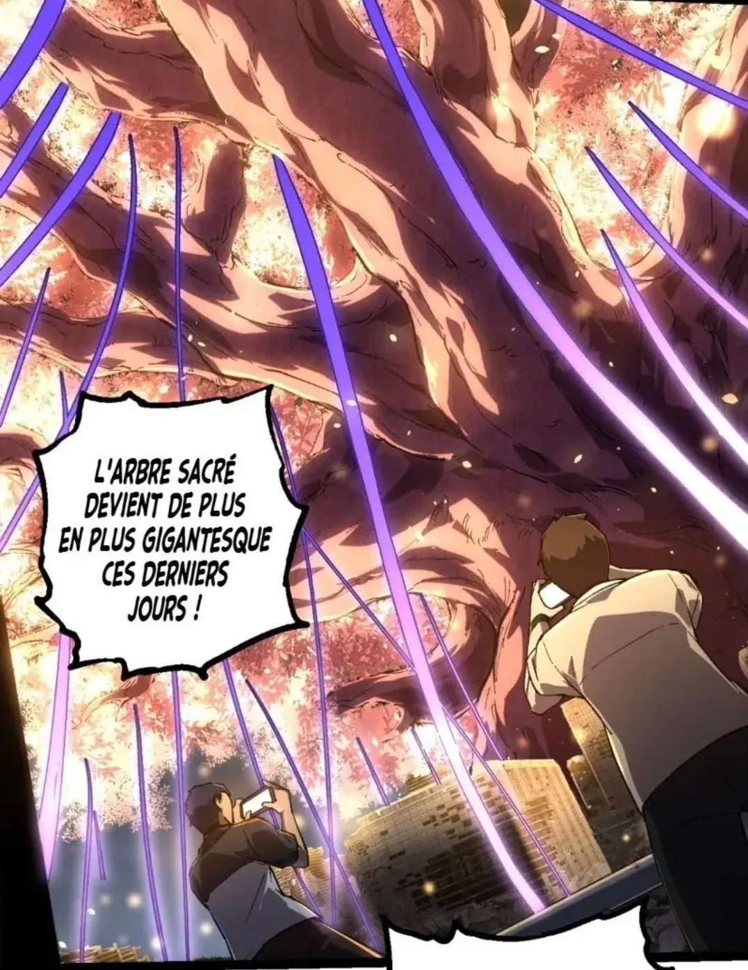 Image du commentaire