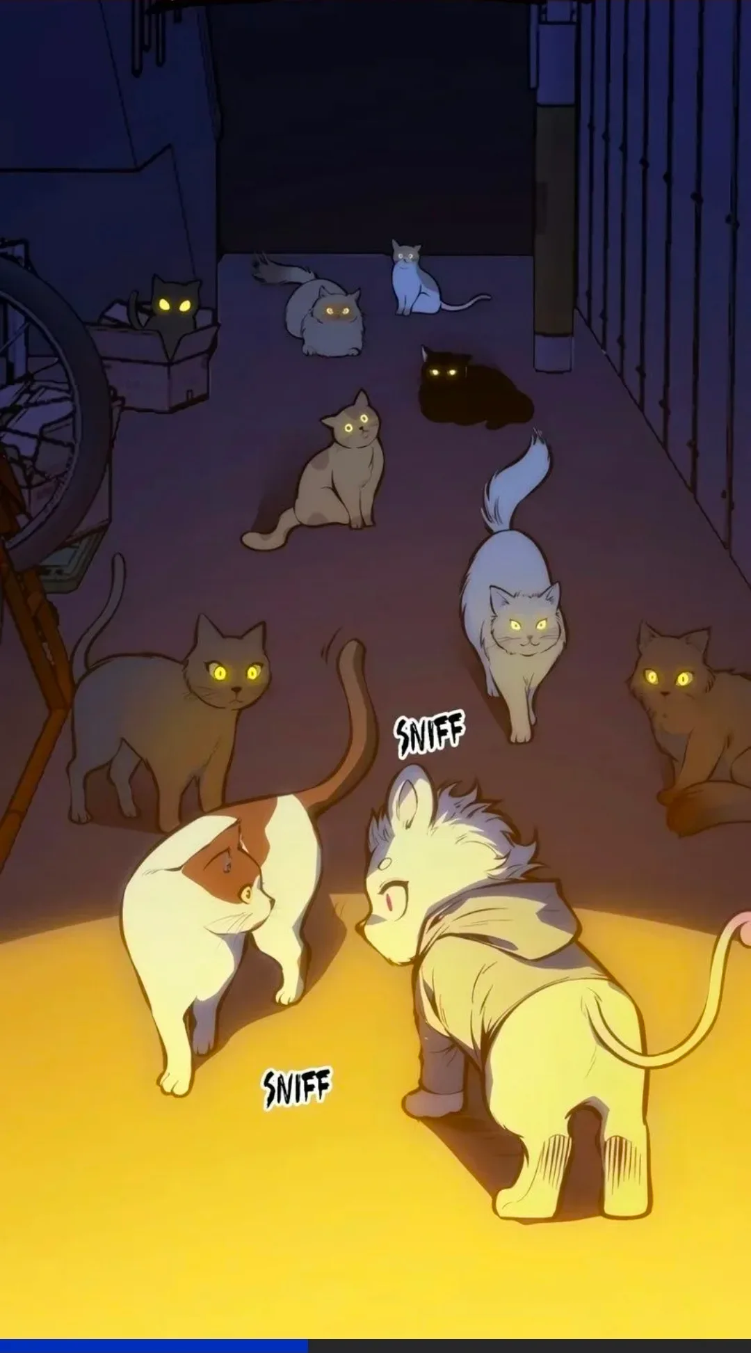 Image du commentaire