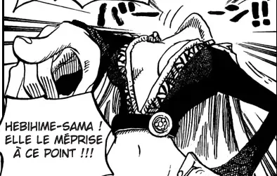 Image du commentaire