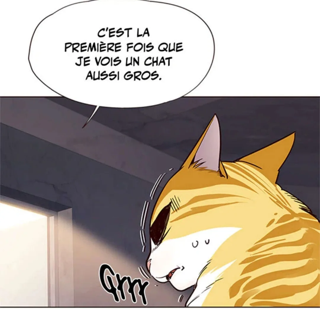 Image du commentaire